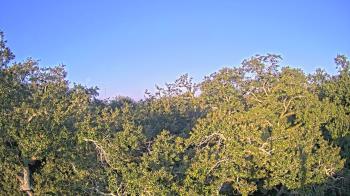 Weather camera view of Metairie Club Gardens.