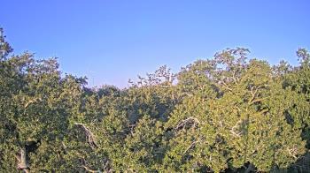 Weather camera view of Metairie Club Gardens.