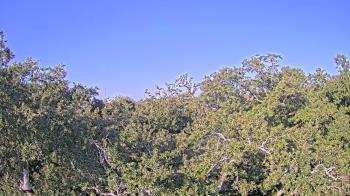 Weather camera view of Metairie Club Gardens.