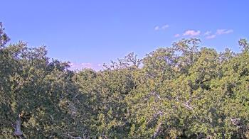 Weather camera view of Metairie Club Gardens.