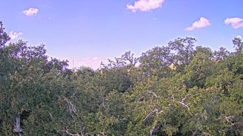 Weather camera view of Metairie Club Gardens.