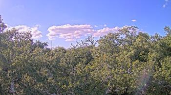 Weather camera view of Metairie Club Gardens.