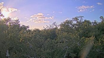 Weather camera view of Metairie Club Gardens.