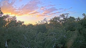 Weather camera view of Metairie Club Gardens.