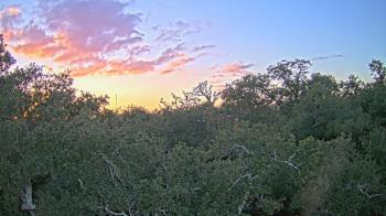 Weather camera view of Metairie Club Gardens.