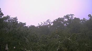 Weather camera view of Metairie Club Gardens.