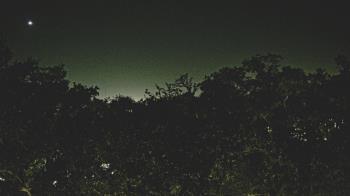 Weather camera view of Metairie Club Gardens.