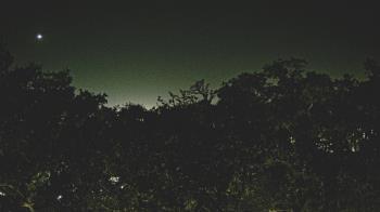 Weather camera view of Metairie Club Gardens.