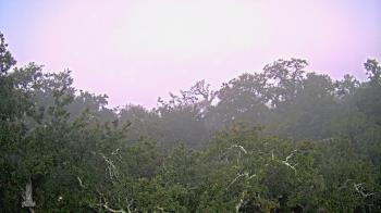 Weather camera view of Metairie Club Gardens.