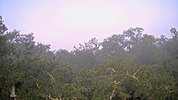 Weather camera view of Metairie Club Gardens.