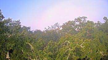 Weather camera view of Metairie Club Gardens.
