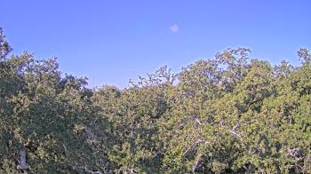 Weather camera view of Metairie Club Gardens.