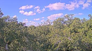 Weather camera view of Metairie Club Gardens.