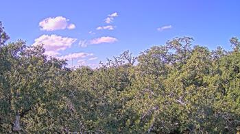 Weather camera view of Metairie Club Gardens.