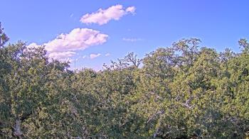 Weather camera view of Metairie Club Gardens.