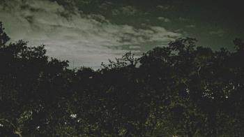 Weather camera view of Metairie Club Gardens.