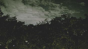 Weather camera view of Metairie Club Gardens.