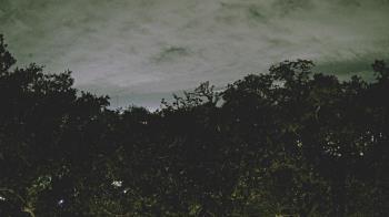 Weather camera view of Metairie Club Gardens.