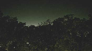 Weather camera view of Metairie Club Gardens.