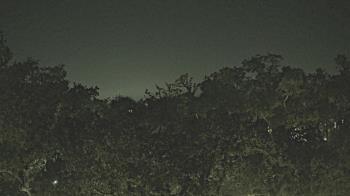 Weather camera view of Metairie Club Gardens.