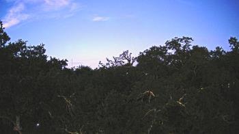 Weather camera view of Metairie Club Gardens.