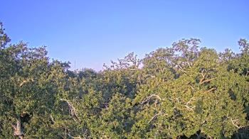 Weather camera view of Metairie Club Gardens.