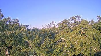 Weather camera view of Metairie Club Gardens.