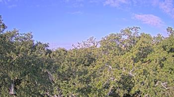 Weather camera view of Metairie Club Gardens.