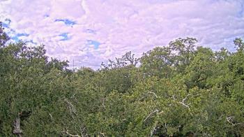 Weather camera view of Metairie Club Gardens.