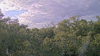 Weather camera view of Metairie Club Gardens.