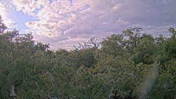 Weather camera view of Metairie Club Gardens.