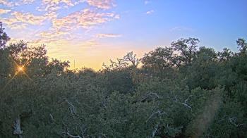 Weather camera view of Metairie Club Gardens.