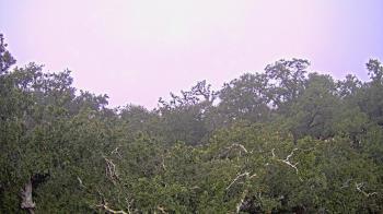 Weather camera view of Metairie Club Gardens.