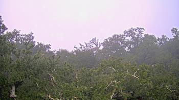 Weather camera view of Metairie Club Gardens.
