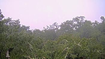 Weather camera view of Metairie Club Gardens.