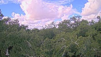 Weather camera view of Metairie Club Gardens.