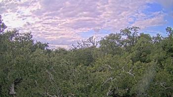 Weather camera view of Metairie Club Gardens.