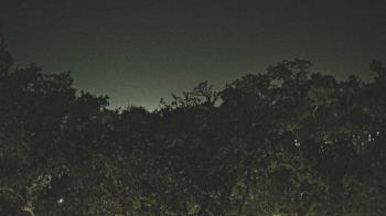 Weather camera view of Metairie Club Gardens.