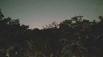 Weather camera view of Metairie Club Gardens.