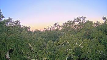 Weather camera view of Metairie Club Gardens.