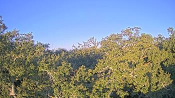 Weather camera view of Metairie Club Gardens.