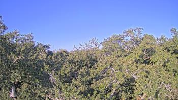 Weather camera view of Metairie Club Gardens.