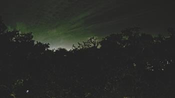 Weather camera view of Metairie Club Gardens.