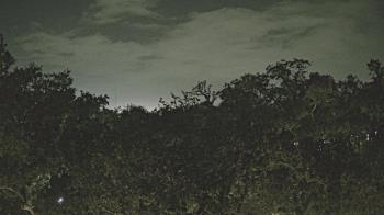 Weather camera view of Metairie Club Gardens.