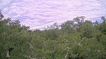 Weather camera view of Metairie Club Gardens.