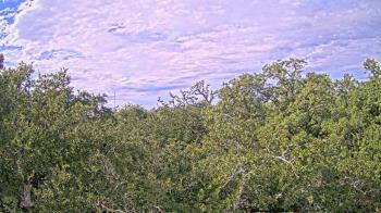 Weather camera view of Metairie Club Gardens.