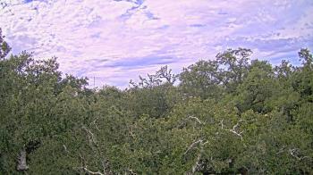 Weather camera view of Metairie Club Gardens.