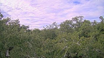 Weather camera view of Metairie Club Gardens.