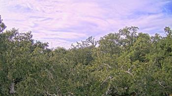 Weather camera view of Metairie Club Gardens.