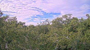 Weather camera view of Metairie Club Gardens.